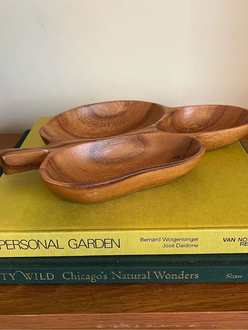 Wood Serving Dish Trio - Natural Brown